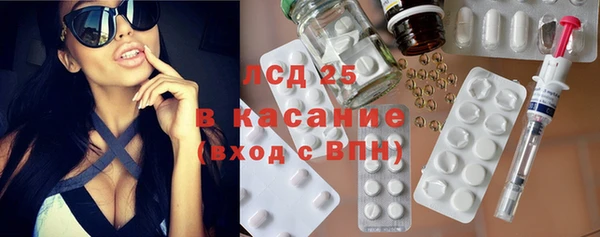 гидра Володарск