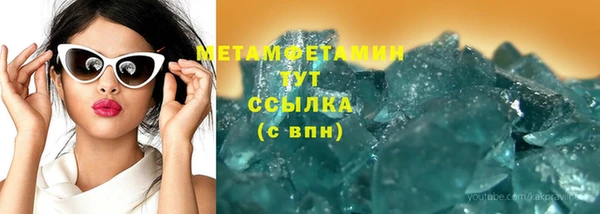 гидра Володарск