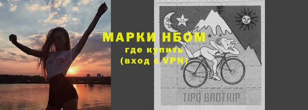 гидра Володарск