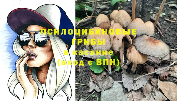 стаф Волосово