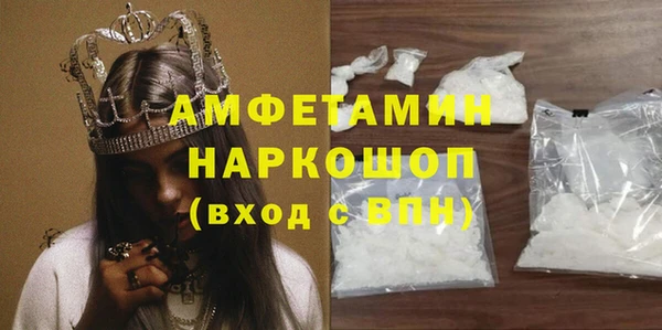 гидра Володарск