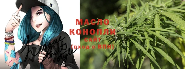 гидра Володарск